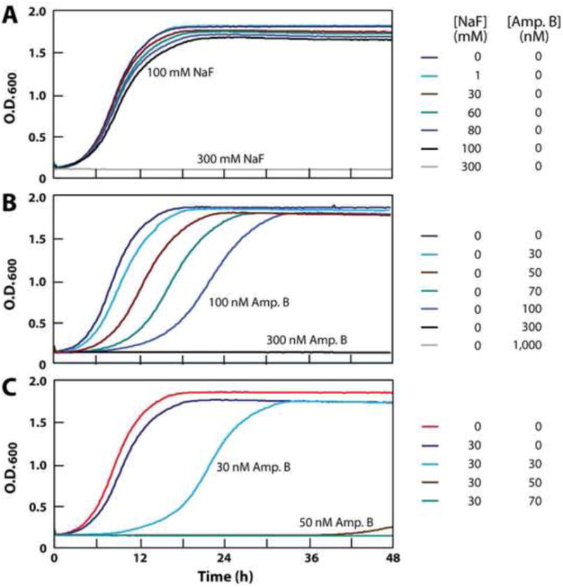 Figure 6