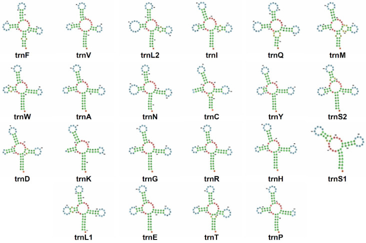 Figure 5