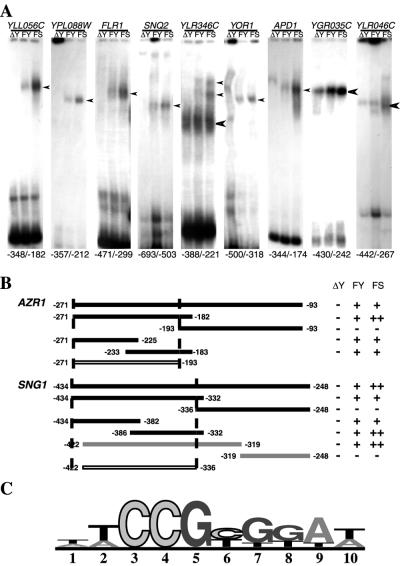 FIG. 3.