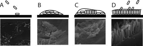 FIG. 5.