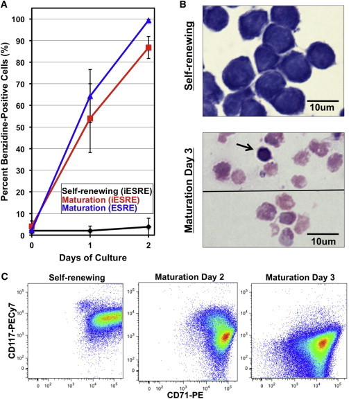 Figure 3