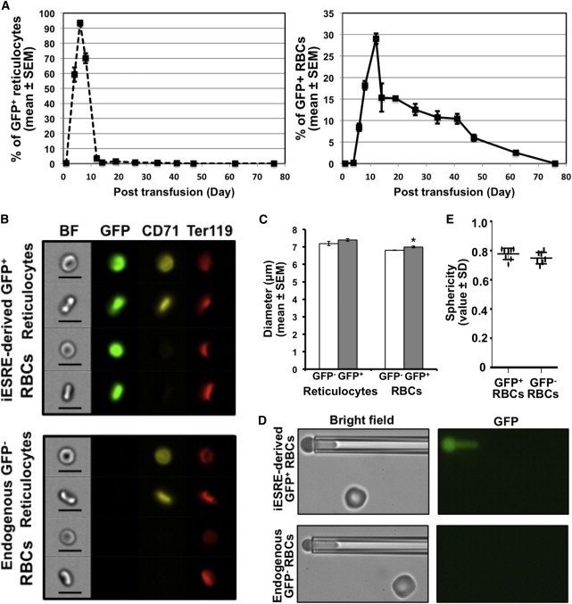 Figure 4