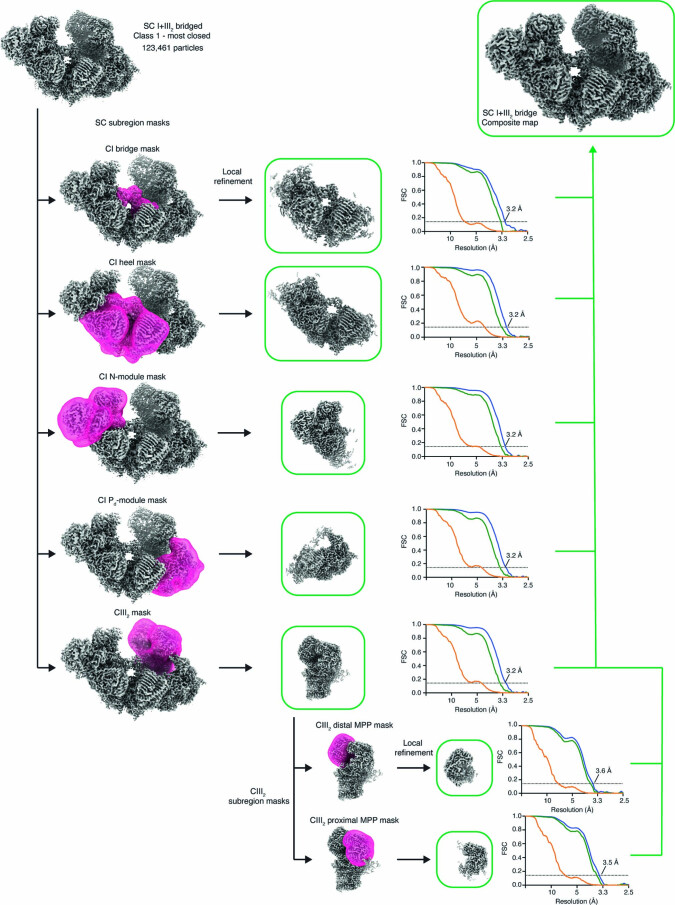 Extended Data Fig. 3