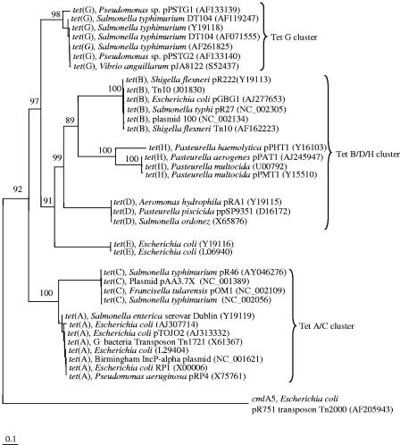 FIG. 1.