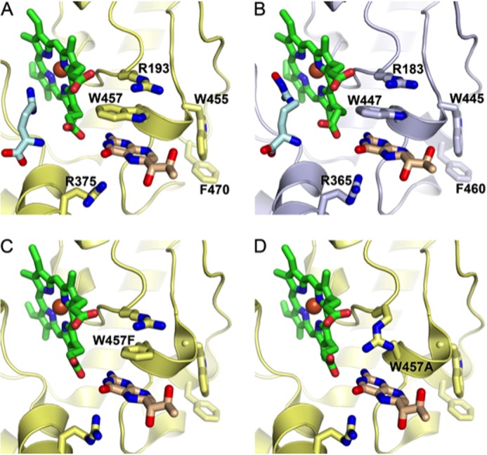 FIGURE 1.