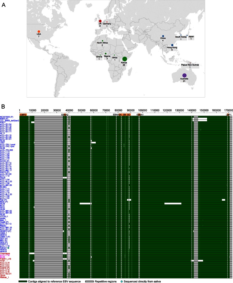 FIG 1