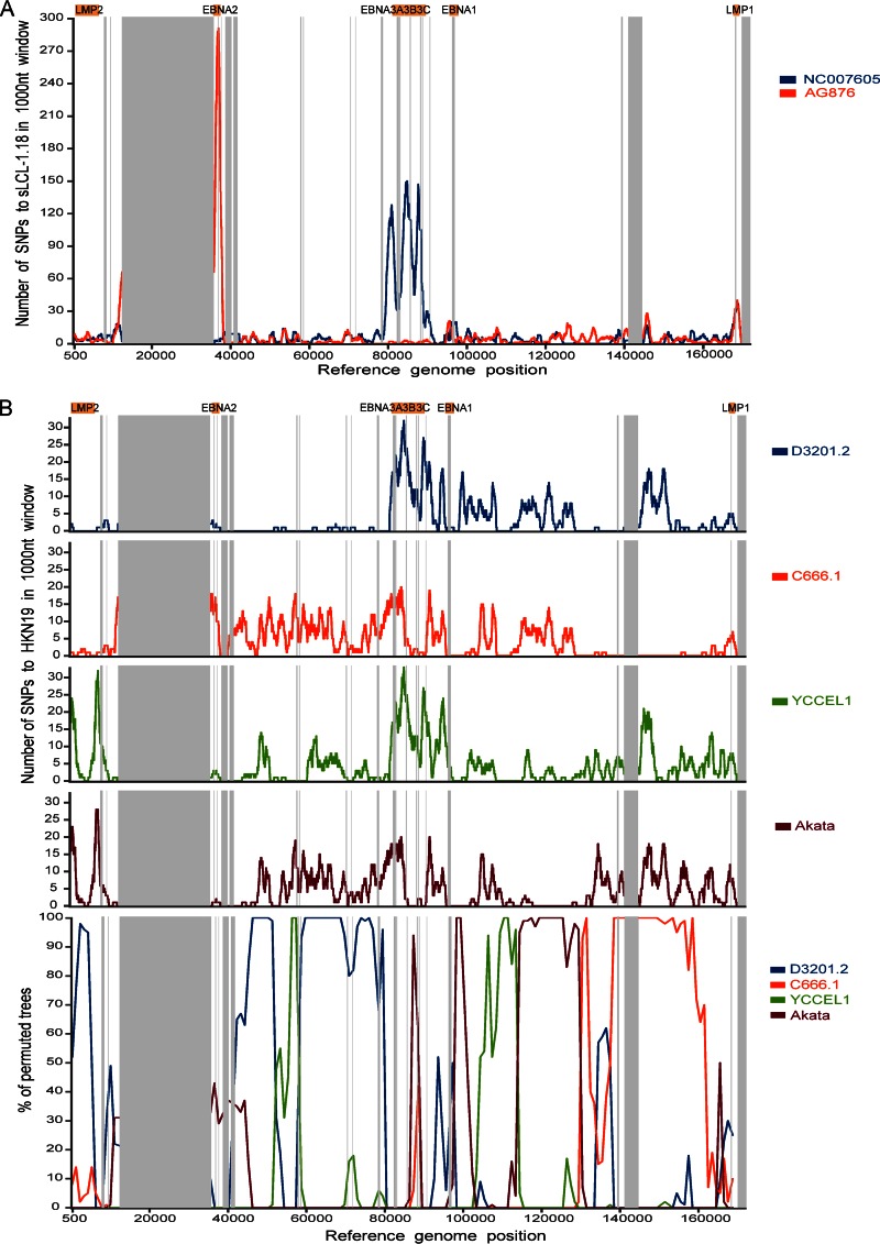 FIG 6