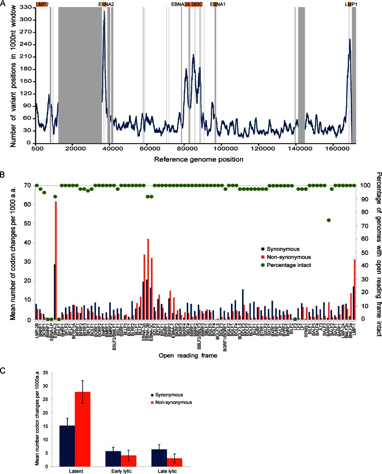 FIG 2