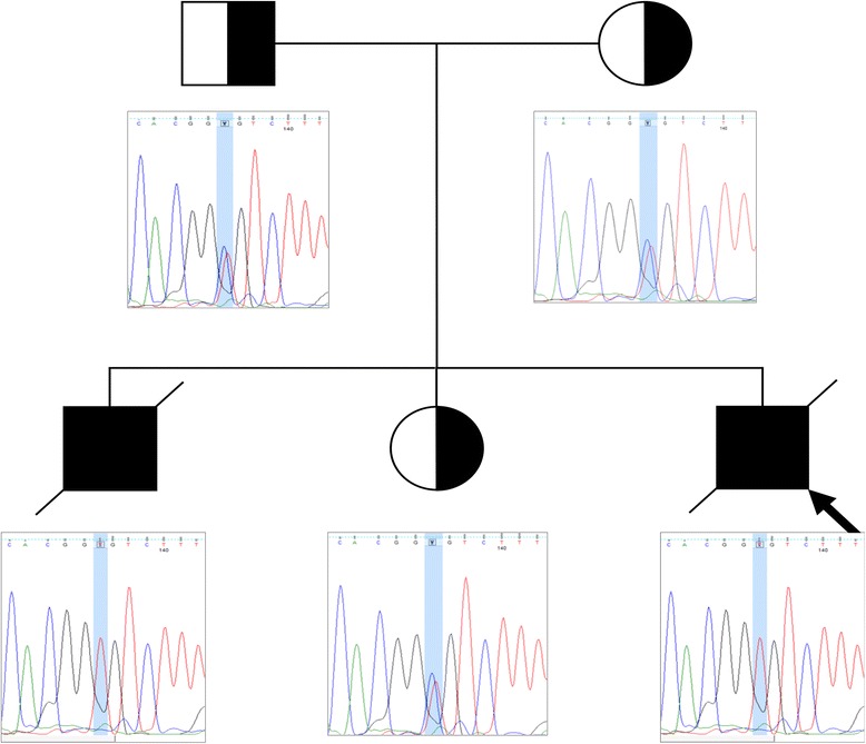 Fig. 4