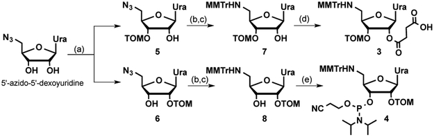 Scheme 1.