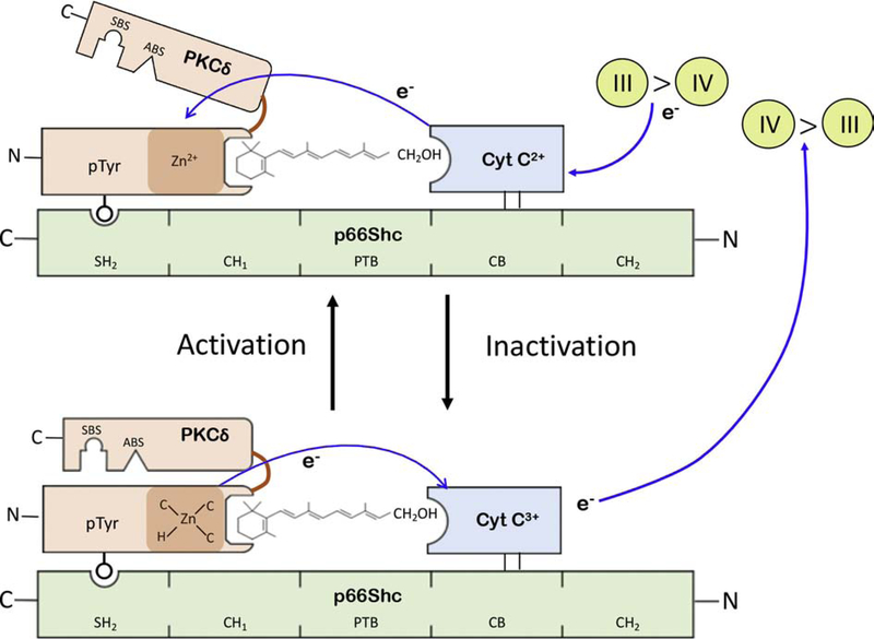 Figure 1: