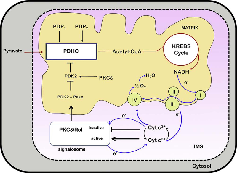 Figure 2: