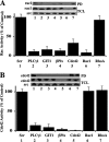 FIG. 8.