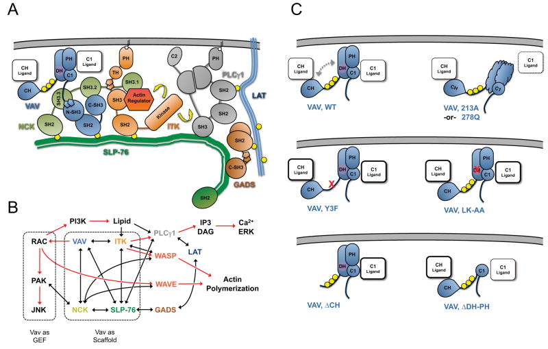 Figure 7