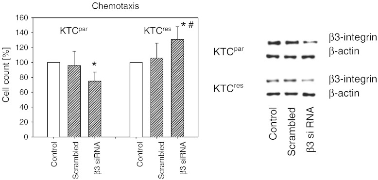 Figure 7