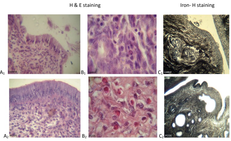 Fig.1