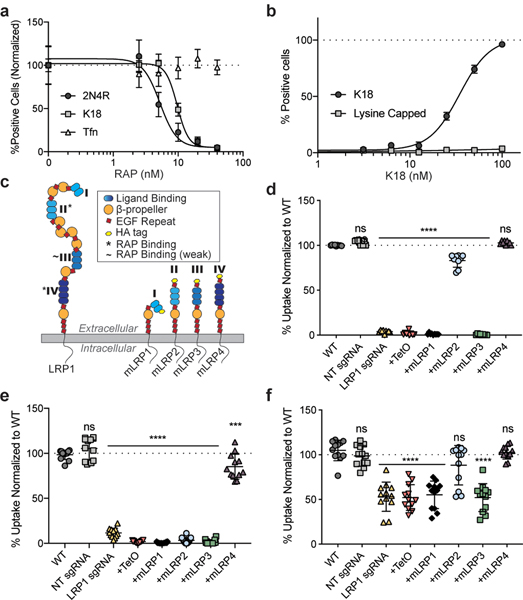 Figure 2: