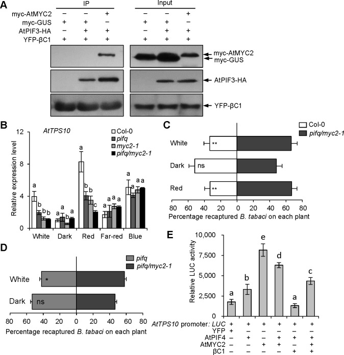 Fig 6