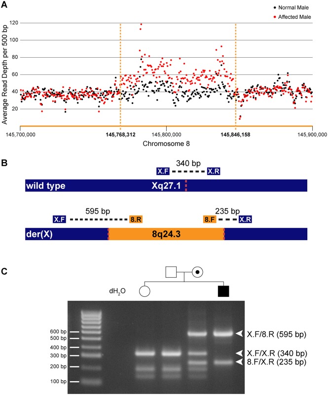 Fig 1