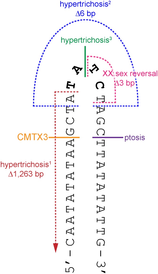 Fig 4