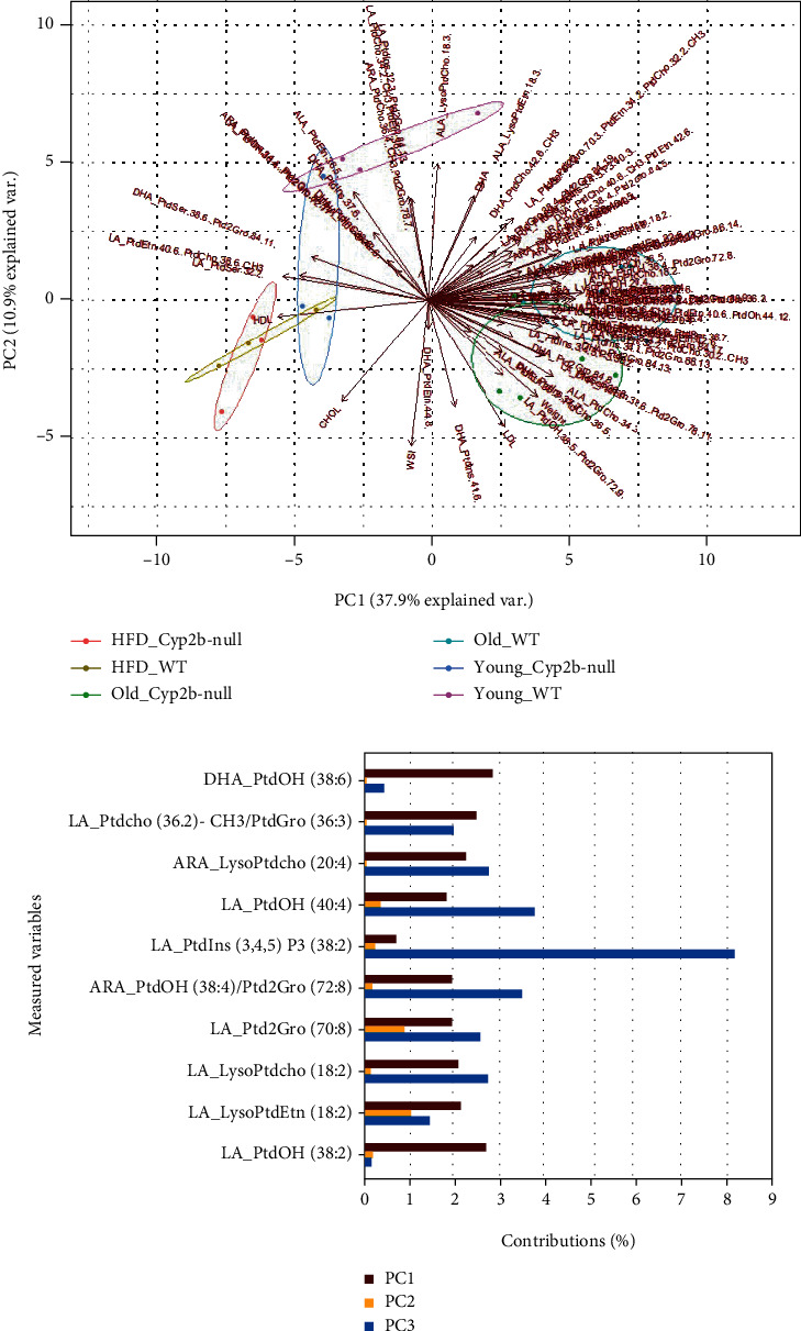 Figure 4