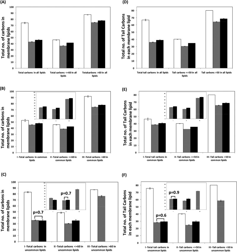 FIGURE 5: