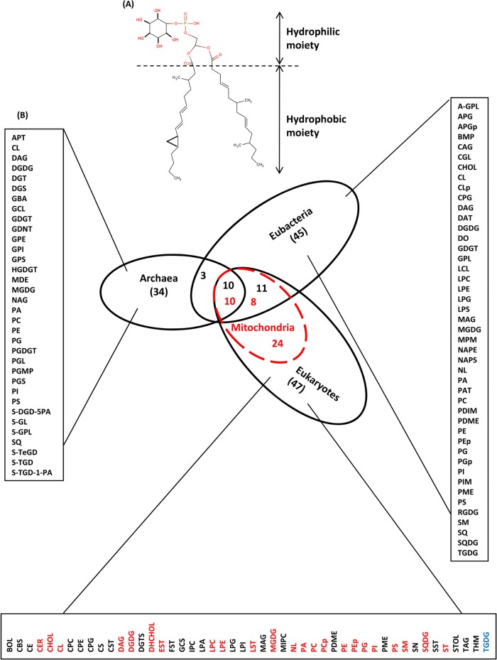 FIGURE 1: