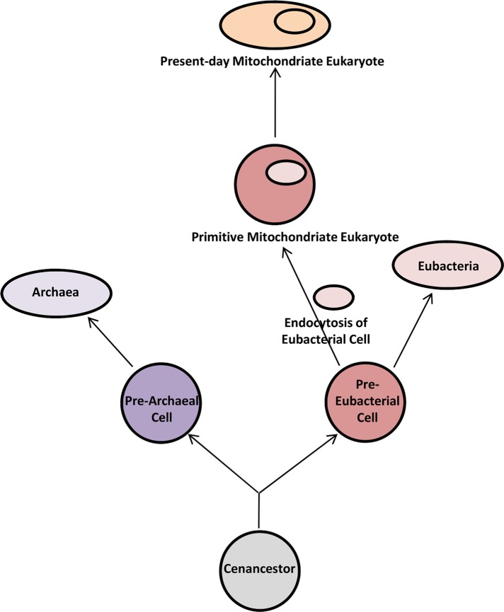 FIGURE 6: