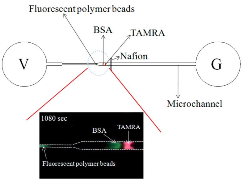 Figure 9