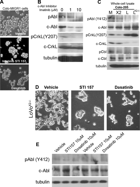 Fig. 9.