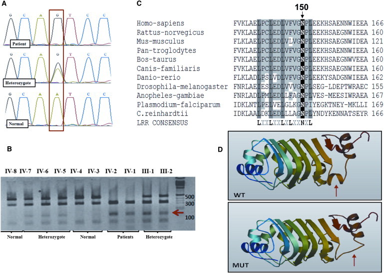 Figure 2