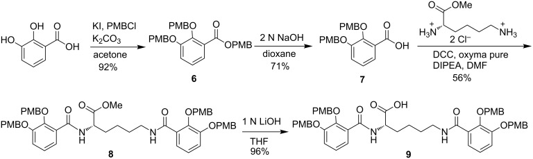 Scheme 2