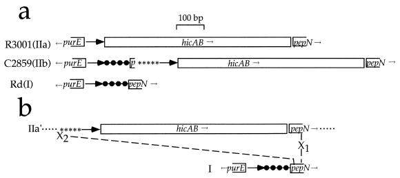 FIG. 5