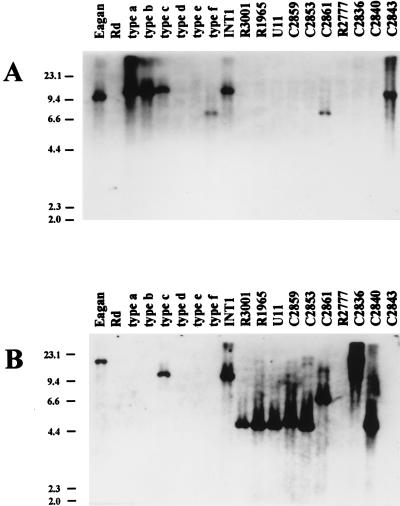 FIG. 6