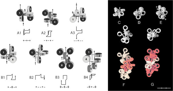 Figure 6.