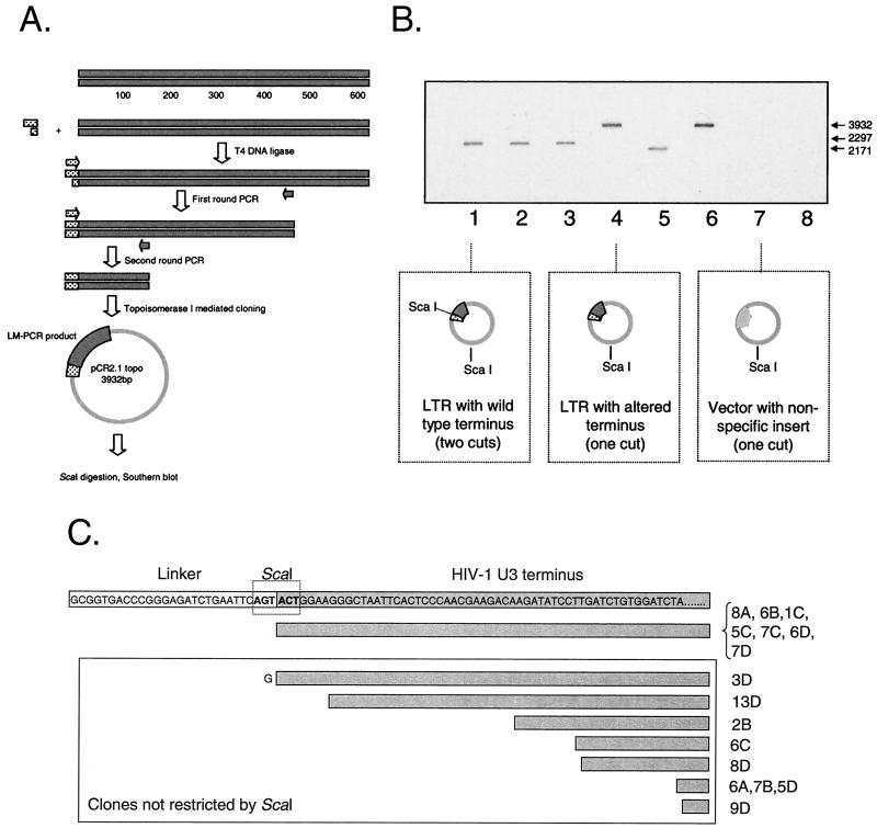 FIG. 4.