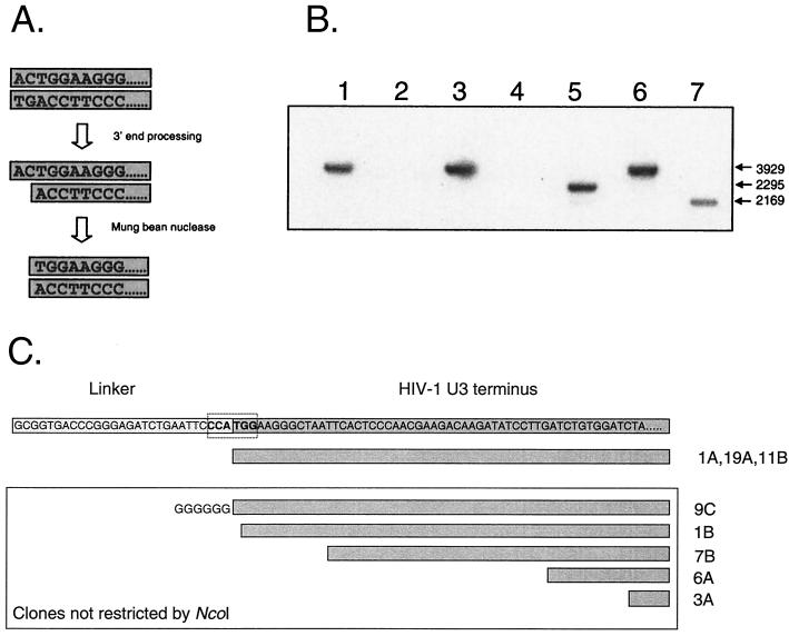 FIG. 5.