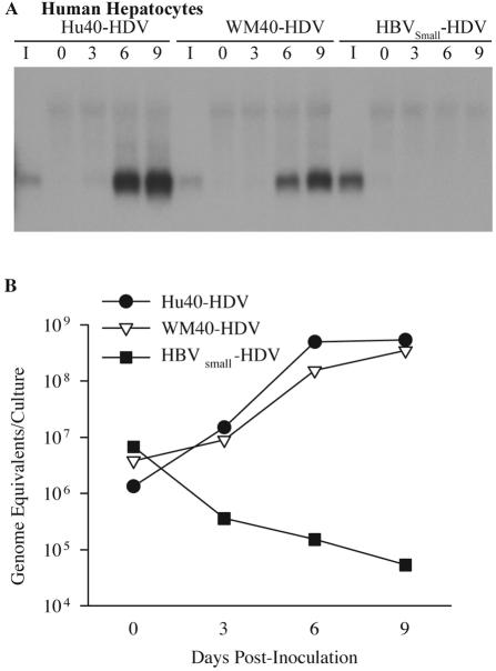 FIG. 7.