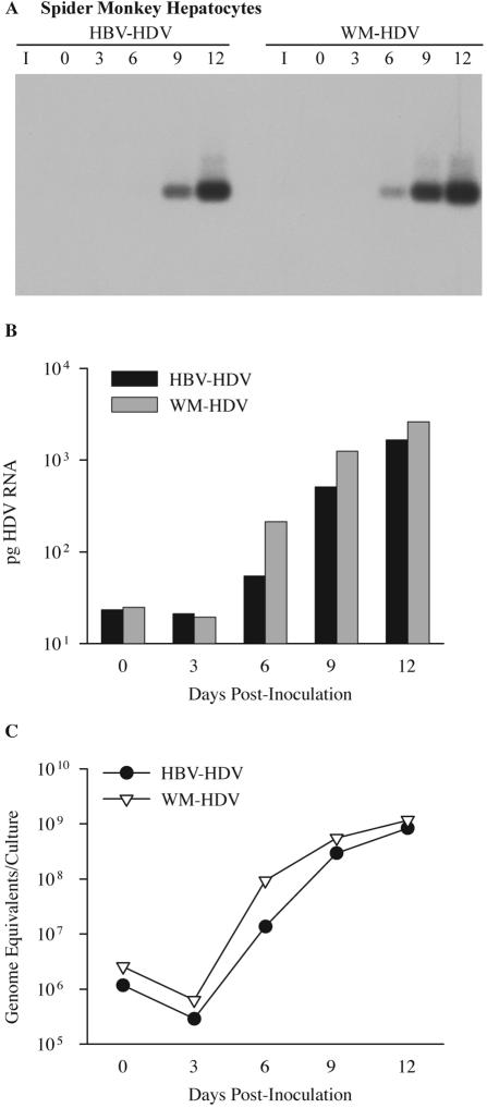 FIG. 6.