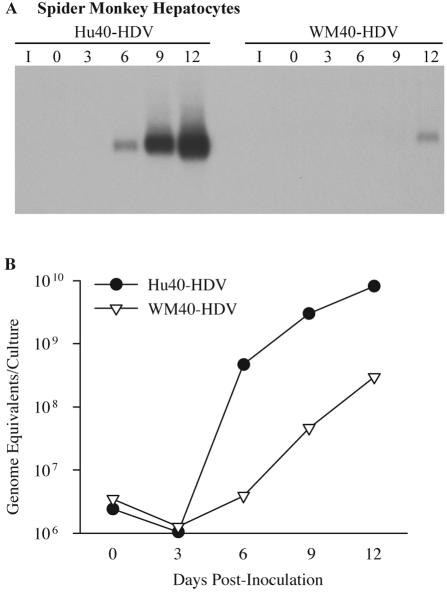 FIG. 8.