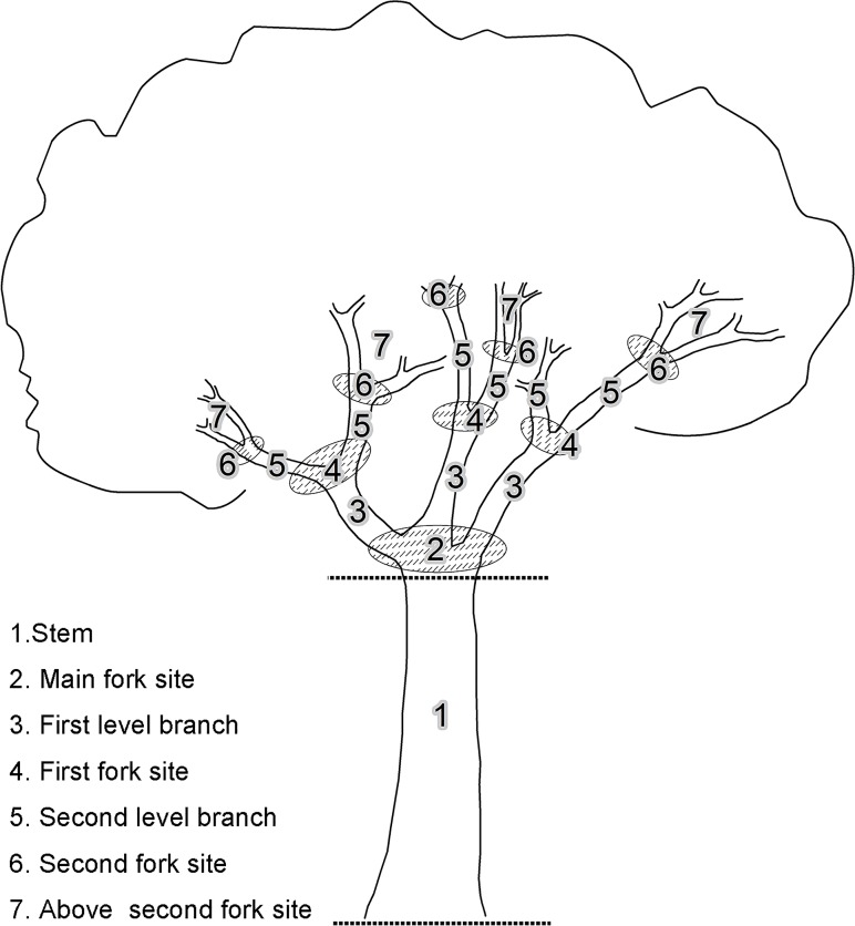 Fig 2