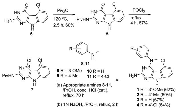 Scheme 1