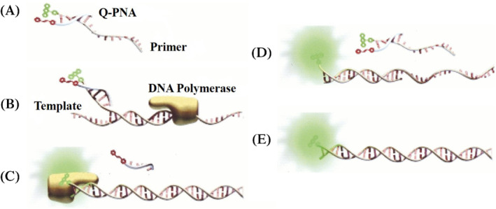 ENG2-12238-FIG-0006-c