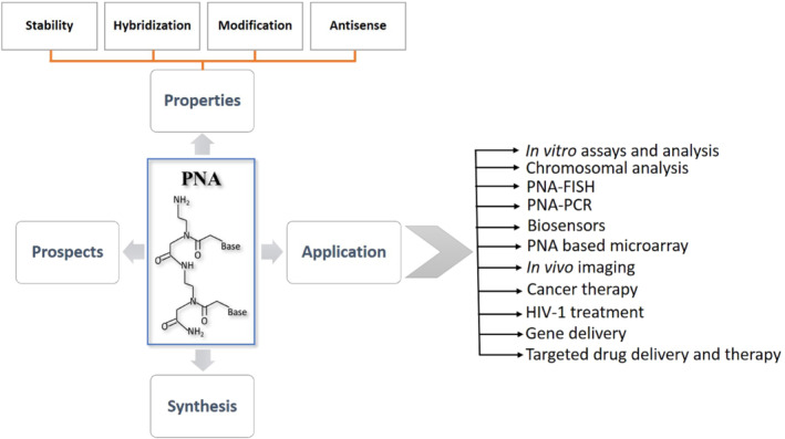 ENG2-12238-FIG-0002-c