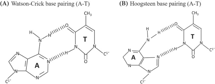 ENG2-12238-FIG-0003-b