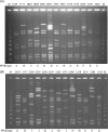 FIG. 1.