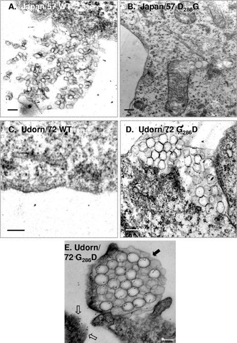 FIG. 7.