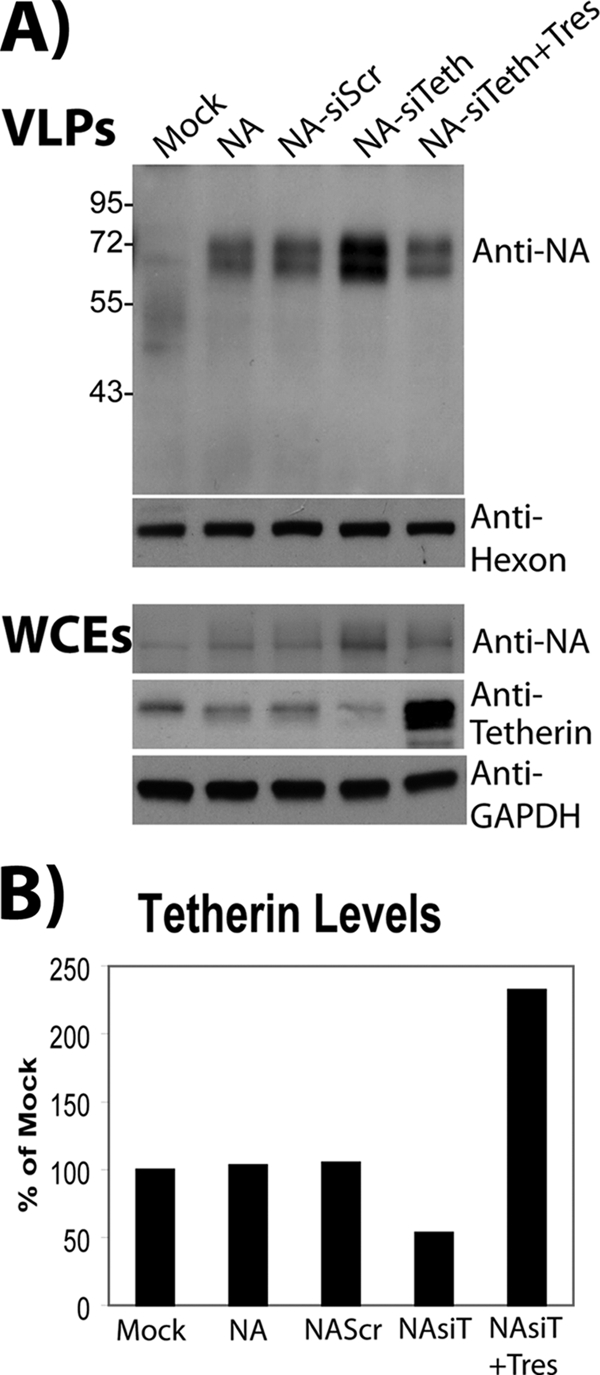 FIG. 9.