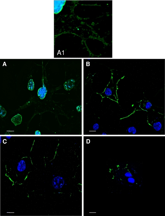 FIG. 6.