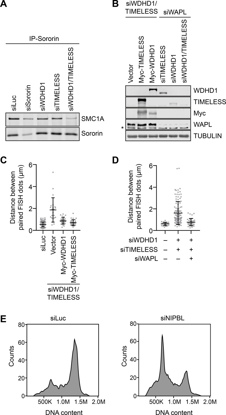 Figure 4—figure supplement 1.